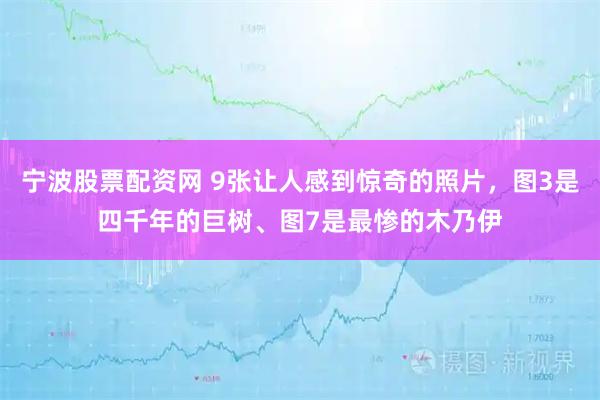宁波股票配资网 9张让人感到惊奇的照片，图3是四千年的巨树、图7是最惨的木乃伊
