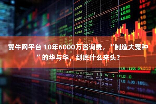 翼牛网平台 10年6000万咨询费，“制造大冤种”的华与华，到底什么来头？