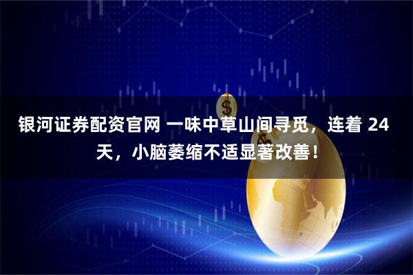 银河证券配资官网 一味中草山间寻觅，连着 24 天，小脑萎缩不适显著改善！