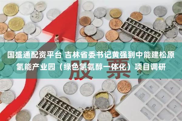 国盛通配资平台 吉林省委书记黄强到中能建松原氢能产业园（绿色氢氨醇一体化）项目调研